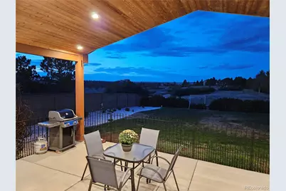 1294 Kittery Street, Castle Rock, CO 80104 - Photo 47