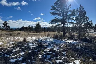 861A State Hwy 24, Lake George, CO 80827 - Photo 1