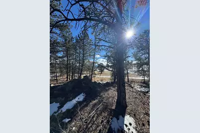 861A State Highway 24, Lake George, CO 80827 - Photo 19