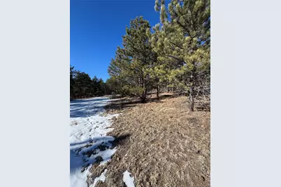 861A State Highway 24, Lake George, CO 80827 - Photo 9