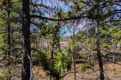 414 Wheat Way, Fairplay, CO 80440 - Photo 9