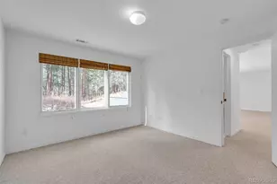 4966 Delaware Dr, Larkspur, CO 80118 - Photo 47