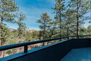 4966 Delaware Dr, Larkspur, CO 80118 - Photo 41