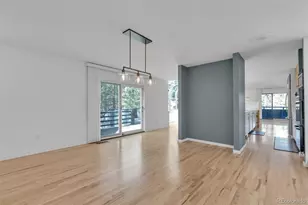 4966 Delaware Dr, Larkspur, CO 80118 - Photo 19