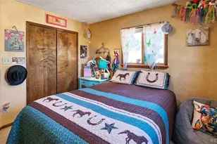 96 Co Rd 7, Fairplay, CO 80440 - Photo 19