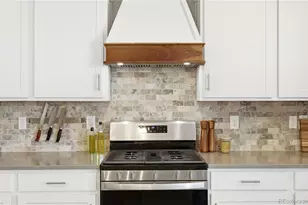 2010 Rosette Ln, Castle Rock, CO 80104 - Photo 9