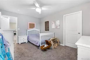 2010 Rosette Ln, Castle Rock, CO 80104 - Photo 31