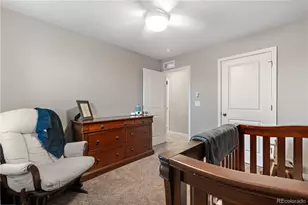 2010 Rosette Ln, Castle Rock, CO 80104 - Photo 29