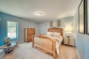 37643 Lake View Dr, Buena Vista, CO 81211 - Photo 19