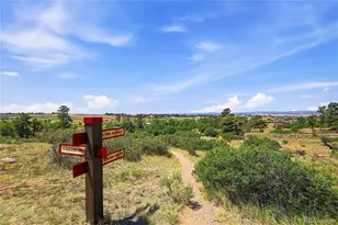 11810 Discovery Ln, Parker, CO 80138 - Photo 5