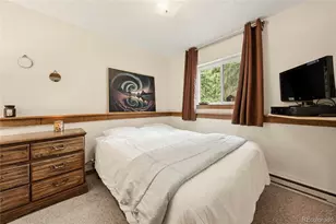 500 Vasquez Rd, Winter Park, CO 80482 - Photo 29