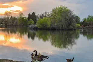 2438 S Perry St, Denver, CO 80219 - Photo 21