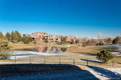 10191 Spring Green Drive, Englewood, CO 80112 - Photo 37