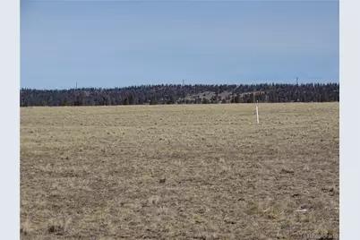 777 Rudisill Street, Fairplay, CO 80440 - Photo 9