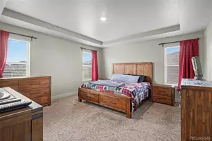 503 Fall River Ct, Brighton, CO 80601 - Photo 13