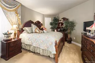 9188 Buck Hill Dr, Highlands Ranch, CO 80126 - Photo 31