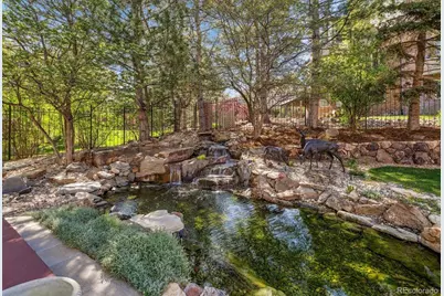 9188 Buck Hill Drive, Highlands Ranch, CO 80126 - Photo 45