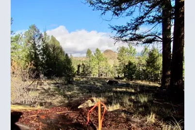 Tbd Cherokee Trail, Hartsel, CO 80449 - Photo 19