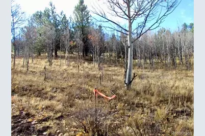 Tbd Cherokee Trail, Hartsel, CO 80449 - Photo 25