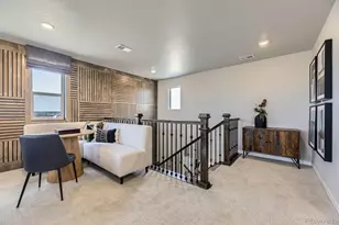 13394 Finnhorse Cir, Parker, CO 80134 - Photo 29