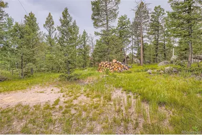 30520 Rand Road, Conifer, CO 80433 - Photo 5