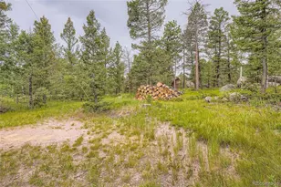 30520 Rand Rd, Conifer, CO 80433 - Photo 5
