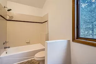30520 Rand Rd, Conifer, CO 80433 - Photo 19