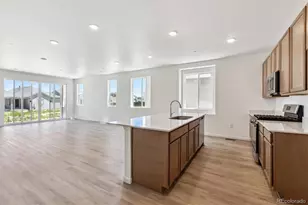 18951 E 96th Pl, Commerce City, CO 80022 - Photo 5