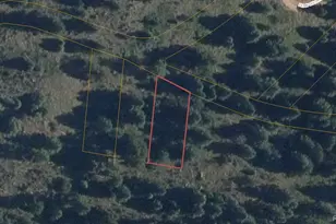 Fern Gulch Rd, Evergreen, CO 80439 - Photo 1