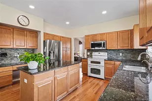 19155 E Hickock Dr, Parker, CO 80134 - Photo 11