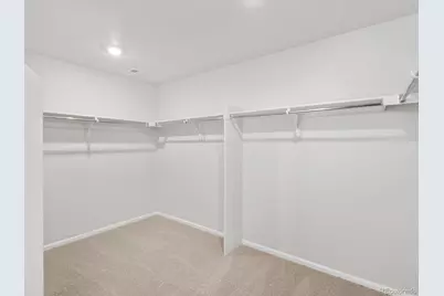 4641 Sunsplash Way, Johnstown, CO 80534 - Photo 19