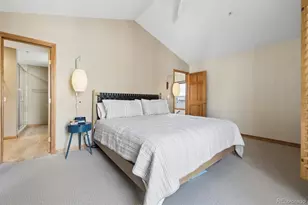 31 Jackson St, Denver, CO 80206 - Photo 29