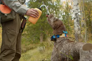 52326 US Hwy 40, Hot Sulphur Springs, CO 80451 - Photo 39