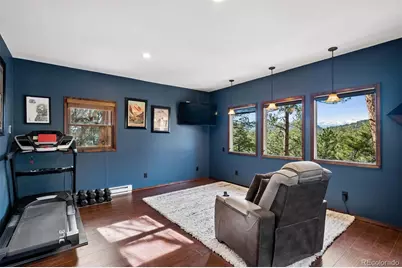 29310 Buchanan Drive, Evergreen, CO 80439 - Photo 35