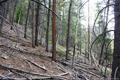 01 Broomfeild Gulch Road, Black Hawk, CO 80422 - Photo 11