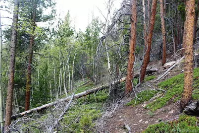 01 Broomfeild Gulch Road, Black Hawk, CO 80422 - Photo 19