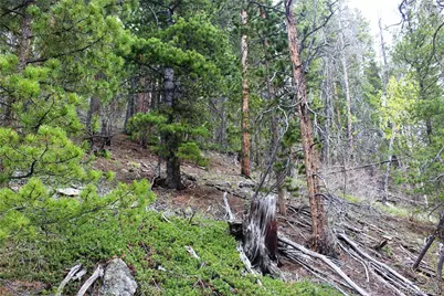 01 Broomfeild Gulch Road, Black Hawk, CO 80422 - Photo 15