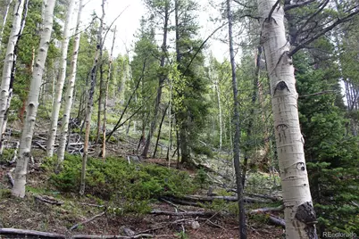 01 Broomfeild Gulch Road, Black Hawk, CO 80422 - Photo 5