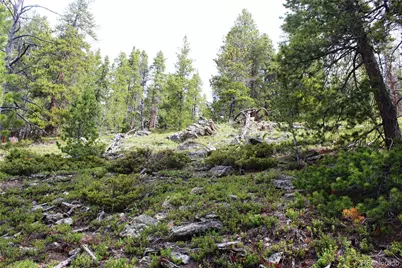 01 Broomfeild Gulch Road, Black Hawk, CO 80422 - Photo 25