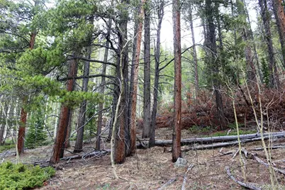 01 Broomfeild Gulch Road, Black Hawk, CO 80422 - Photo 3