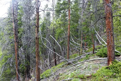 01 Broomfeild Gulch Road, Black Hawk, CO 80422 - Photo 17