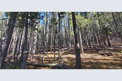 Lot 2682 & 2683 Purnell Lane, Fort Garland, CO 81133 - Photo 1