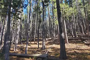 Lot 2682 2683 Purnell Ln, Fort Garland, CO 81133 - Photo 1