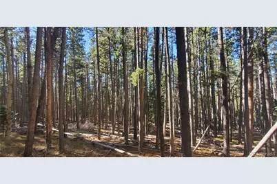 Lot 2682 & 2683 Purnell Lane, Fort Garland, CO 81133 - Photo 9