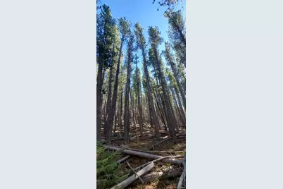 Lot 2682 & 2683 Purnell Lane, Fort Garland, CO 81133 - Photo 3