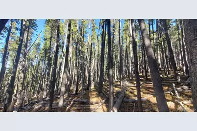 Lot 2682 & 2683 Purnell Lane, Fort Garland, CO 81133 - Photo 5