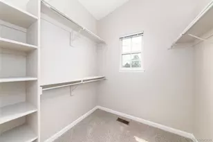 4341 Millwagon Trail, Castle Rock, CO 80109 - Photo 23