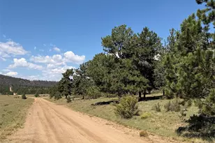 1199 Jefferson Rd, Hartsel, CO 80449 - Photo 29