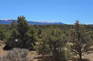 2738 Elk Park Rd, San Luis, CO 81152 - Photo 5