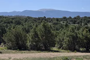 2738 Elk Park Rd, San Luis, CO 81152 - Photo 33